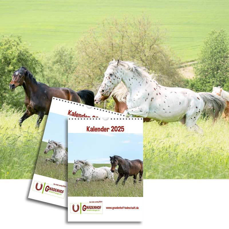 Unser Kalender 2025 ist da