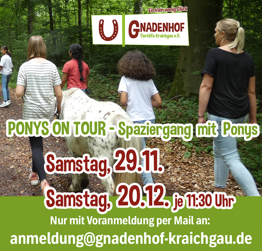 Ponys on Tour