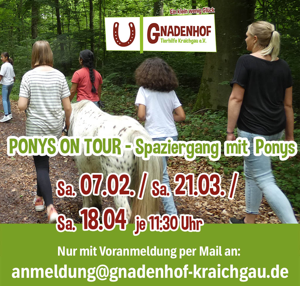 Ponys on Tour 2026