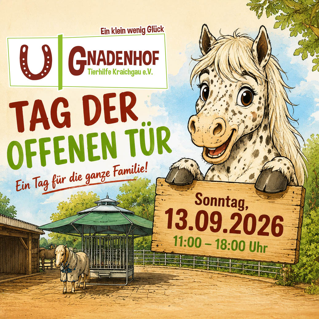 Das Team des Gnadenhofs vor der Hüpfburg