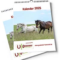 Unser neuer Kalender für 2025 ist da